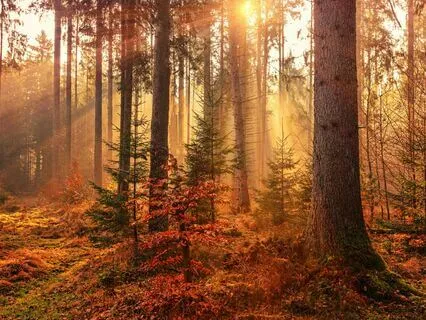 New Moon Meditation | Libra | Balance | Harmony | Peace