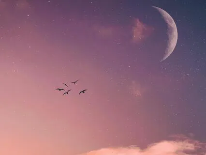 New Moon Meditation: Manifest, Renew & Set Intentions