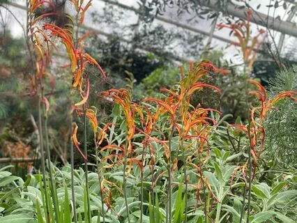 New Moon Meditation: Noticing The Magic Within