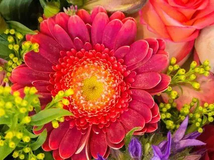 New Moon Meditation | Nourishment | Intuition | Cancer