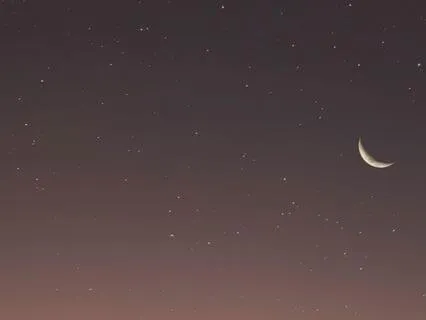 New Moon Meditation: Seeds Of Possibility