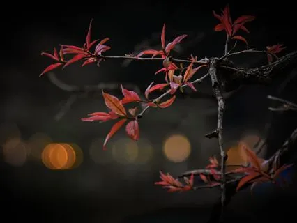 New Moon Meditation: Surrendering To The Unknown