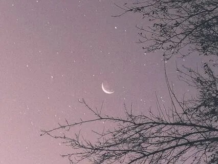 New Moon Meditation | Visualization + Affirmations