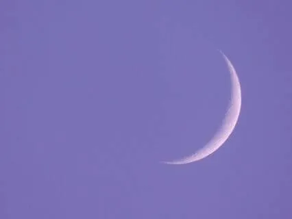 New Moon: Planting The Seed