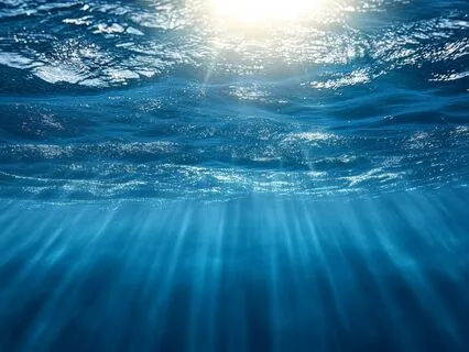 New Moon Pushya | Cancer | Vedic Astrology