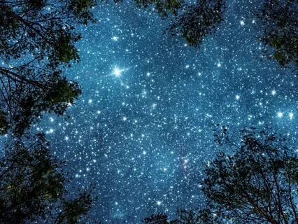 New Moon Reset: Begin Again