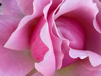 New Moon Transmission