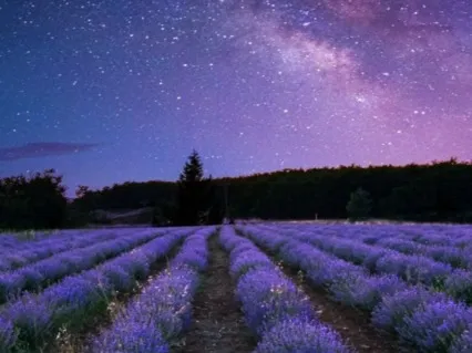 Unlimited Being Meditation :  Live - Love - Laugh