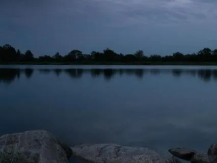 New Moon Yoga Nidra: Soften, Listen, And Rest Deeply
