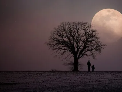 Power Nap To Boost Your Energy And Clarity With Guided Imagery Of Your Sleep Temple