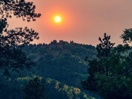 New Seasons And Circling Trees