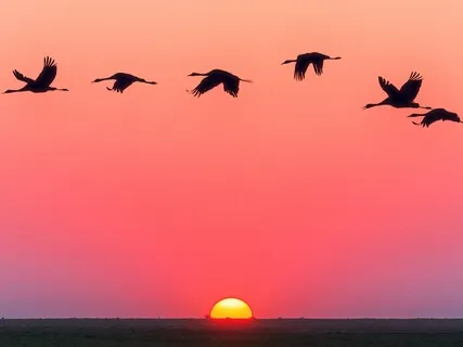 New Startup Mindset: Cultivating A Beginner's Mindset