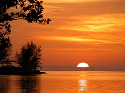 New Summer Calm Sleep