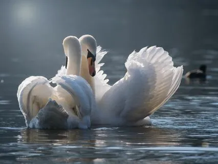 New Sweet Mantra song to experience sincere love- Sri Jaya