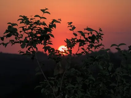 New Testament Affirmations - My True Self