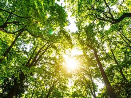 New Timeline, New You: Embodying Your Highest Path