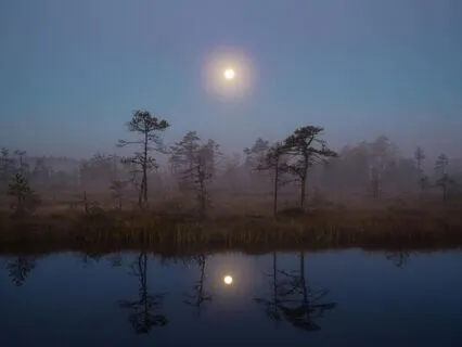 New Sacred Sounds – A Theta Healing Soundscape