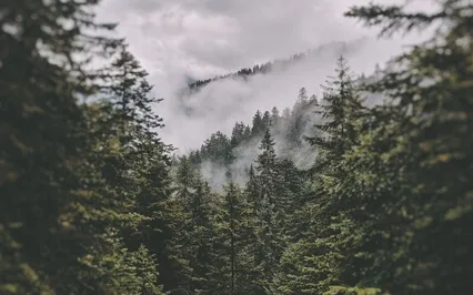 New Year 2022: The Year Ahead 