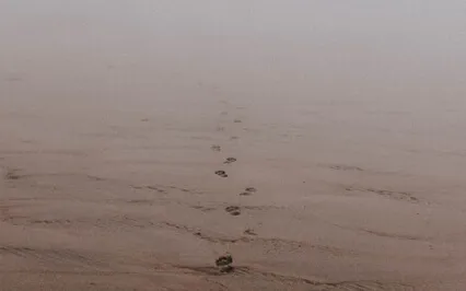 New Year 2022: The Year Behind 