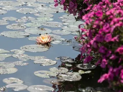 New Year Affirmations