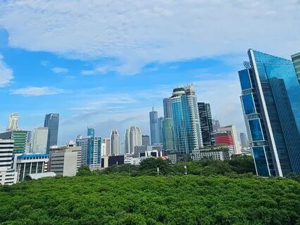 New Year Gratitude Meditation