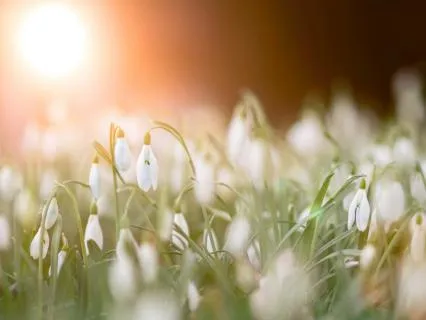 New Year Inner Renewal: 417Hz Solfeggio For Positive Change