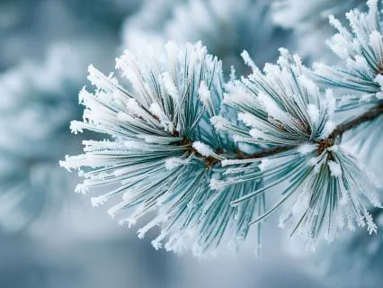 New Year Intention Setting Yoga Nidra