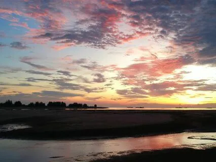 New Year's Day: Hopeful Renewal