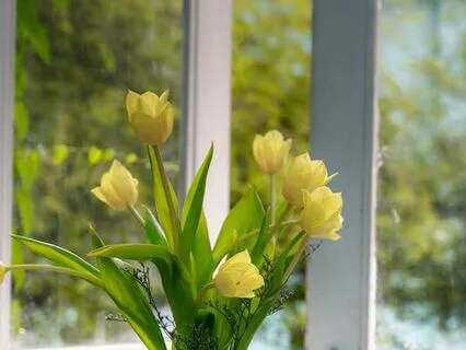 New Year's Exhale | Calm Your Spirit, Refresh Your Soul