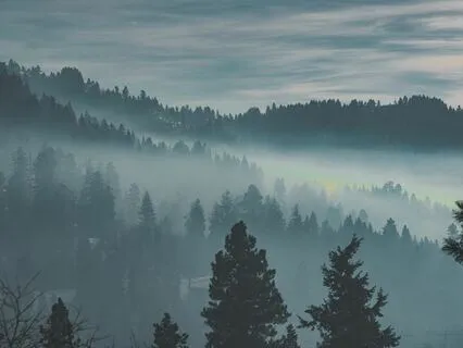 New Year's Reflection Yoga Nidra