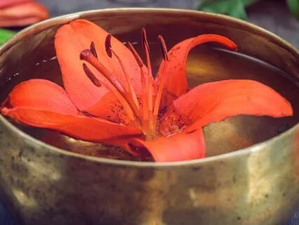 New Year Sound Bowl Cleanse