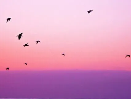 New Year Visualisation