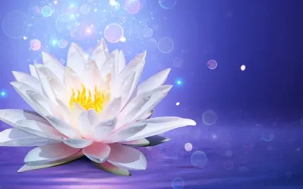 New Year's Meditation - Create A Blessed New Life