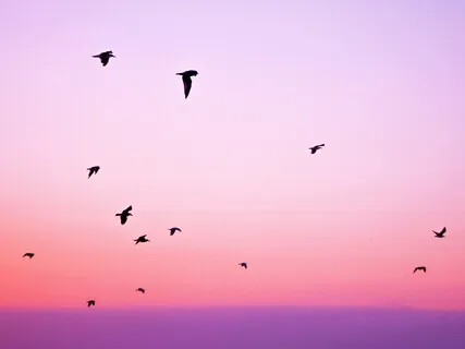 New Years Reflections - Hopeful Ambient Soundscape 