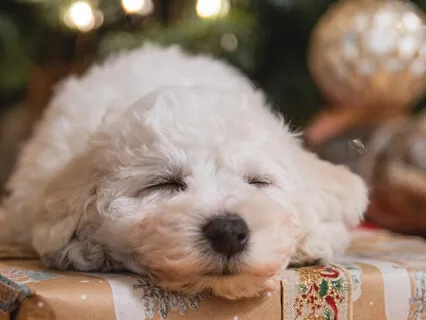 New Year's, Same Me. Trauma-Sensitive Self Acceptance