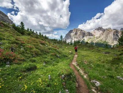 Newbie's Meditation - Week Two