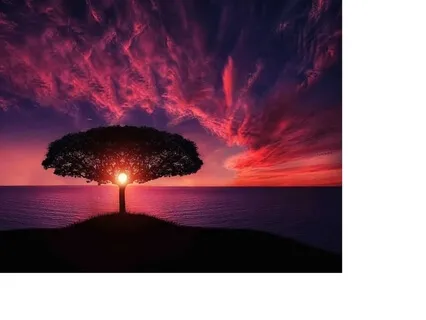 Neworld Sleep Meditation: Detachment From Overthinking  