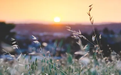 Next Best Version Of You