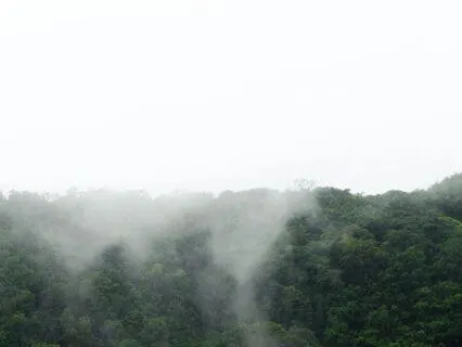 Nidra For Self-Confidence