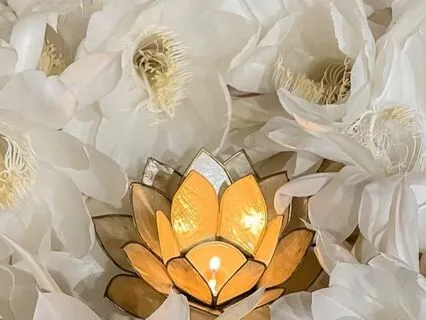 Nidra Limbic Brain Relaxation