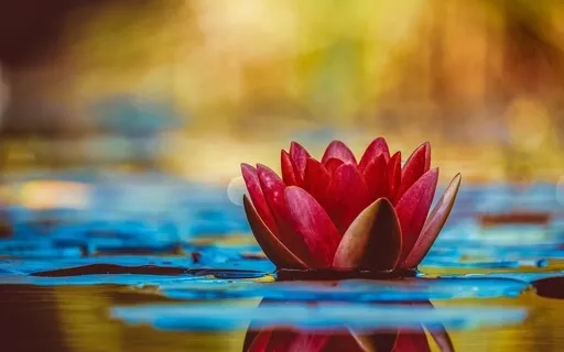 Нидра Медитация для принятия, входа в поток и фокуса