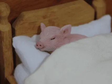 Nidra Nap For Healing