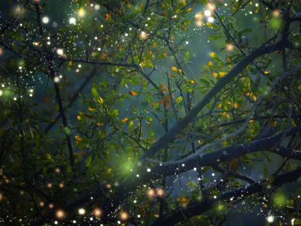 Nidra: Resting In Expansive Love In The Heart