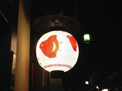 Nidra To Observe The Turn Of Season And Inner Wisdom