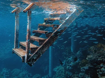 Nidra - Under The Sea