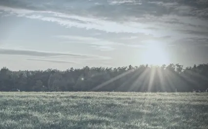 Nidra Works - Yoga Nidra | Your Rich & Fertile Land