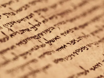 Нет потопу. 19.10.20