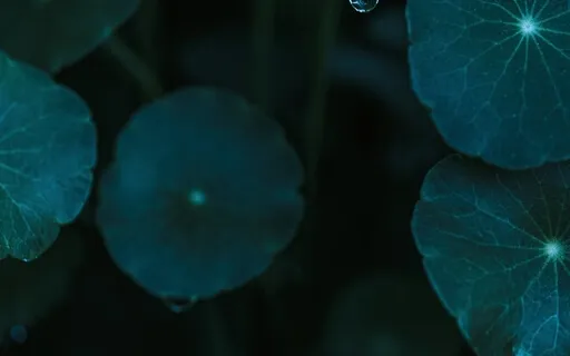 Night Ambience With ASMR Rain