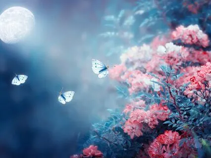 Night Bloom ~ Deep Sleep Music & Restorative Nature Sounds