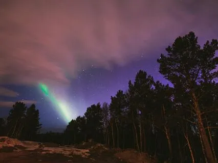 Night Bloom: Relaxing Sounds For Deep Rest